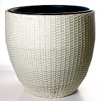 ����� Nobilis Marco White � �������� ������ 50�H45 ��