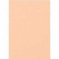 ����� �������� Legrand ����� ���� ������ 47�175 ��