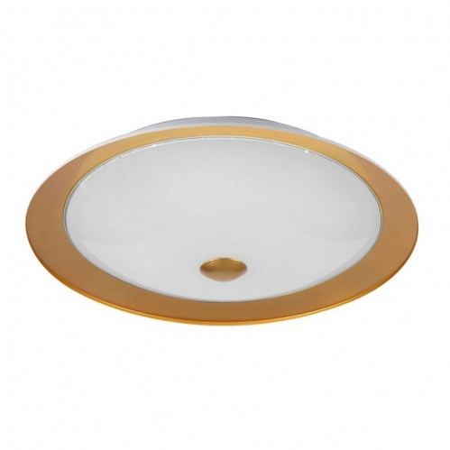   Maytoni Euler CL815-PT50-G  LED 24W 220V