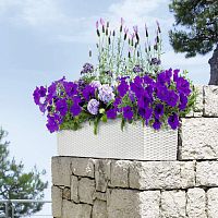 ����� Lechuza Balconera Cottage Complete White 80 ��