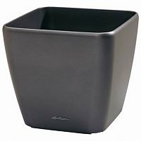 ����� Lechuza Quadro Anthracite without plug 50x50xH47 ��