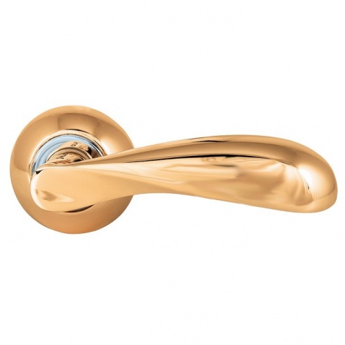   Palladium Duck GP