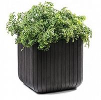 ����� ��� ������ Keter Cube Planter M 395�395�395 �� ����� ����������