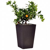 ����� ��� ������ Keter Rattan Planter M 385�385�570 �� ����� ����������