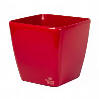 ����� (�������) Nobilis Marco Quadrato � �������� ������, 34�34�32�� �������