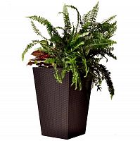 ����� ��� ������ Keter Rattan Planter L 535�535�735 �� ����� ����������