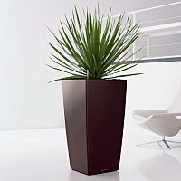 ����� Lechuza Cubico Espresso 22x22xH41 ��