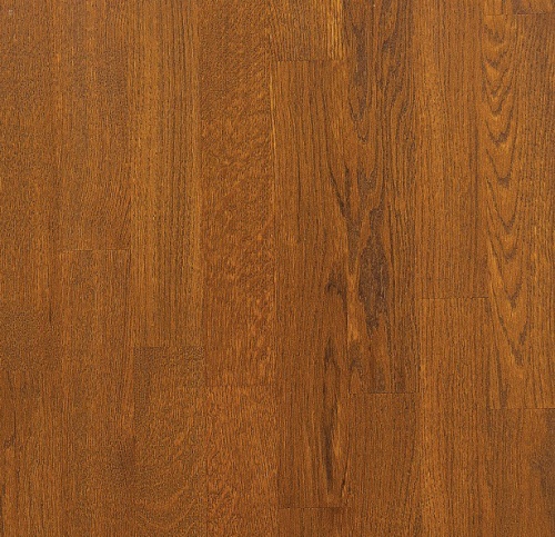 ����� ��������� BeFag ��� ����� ���� ����� 564371