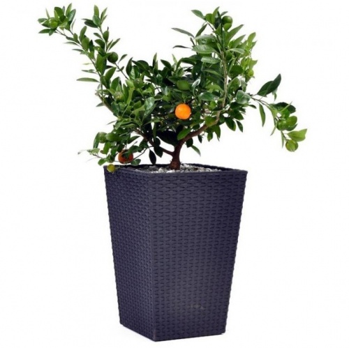 ����� ��� ������ Keter Rattan Planter S 285�285�435 �� ��������