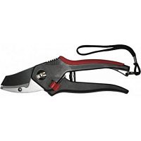 ������� Fit ����������� ����� ��������� ������� � ���������� ��������� ���� 20 �� ��� � 77094