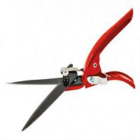 ������� Fit ��� ����� 31 �� 77098