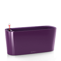 ����� (�������) Lechuza Windowsill Complete (aubergine), 40x15xH18��