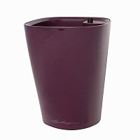 ����� (�������) Lechuza Deltini Complete (aubergine), 14xH18��