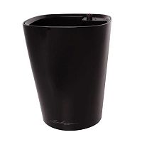 ����� Lechuza Deltini Complete Black 14xH18 ��