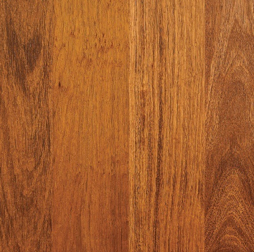 ����� ��������� BeFag ������ 561219