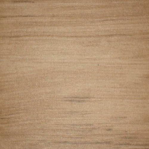 ������������� �������� �� ��� Rose Rosa 4544