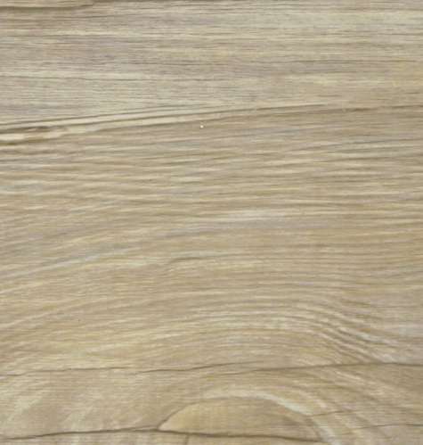 ������������� �������� �� ��� Rose Rosa 5663