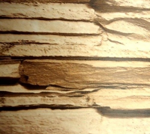 ������������� �������� �� ��� Rose Rosa 9991