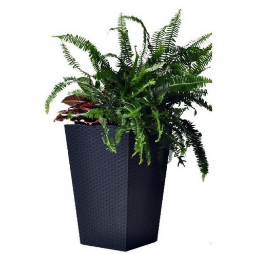 ����� ��� ������ Keter Rattan Planter L 535�535�735 �� ��������