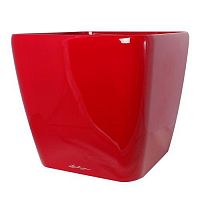  Lechuza Quadro Scarlet red without plug 28x28xH26 