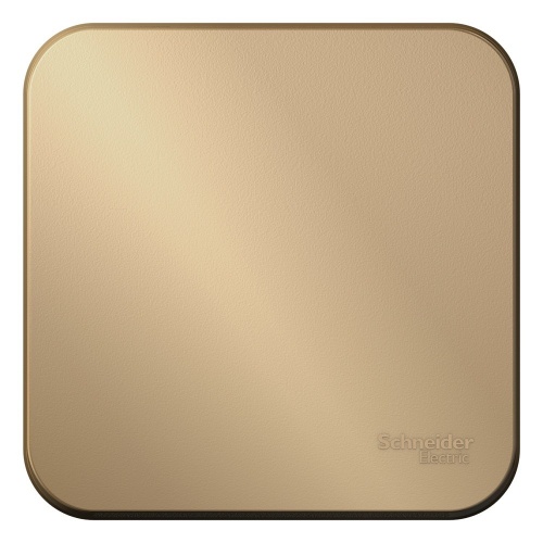  Schneider Electric Blanca BLNVA106014     