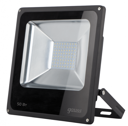   Gauss Elementary 613100350 50W IP65 6500 