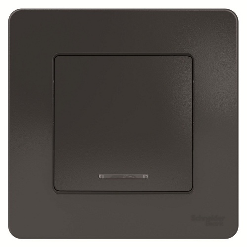  Schneider Electric Blanca BLNVS010116    