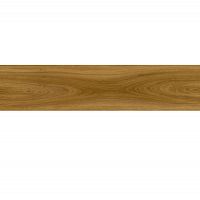  Moduleo Transform Wood 24866 Classic Oak