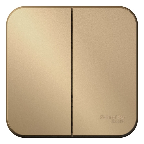 Schneider Electric Blanca BLNVA105014     