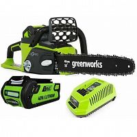    Greenworks GD40CS40K6